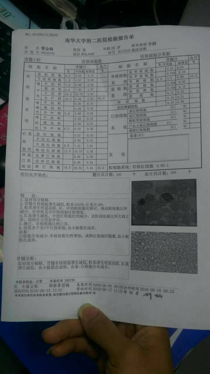 狼的结果