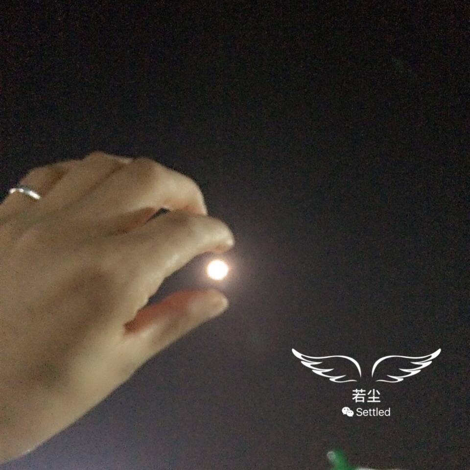 >正文   用我戴着尾戒的左手 去摘夜空温柔的月亮 我想把她握在手心里