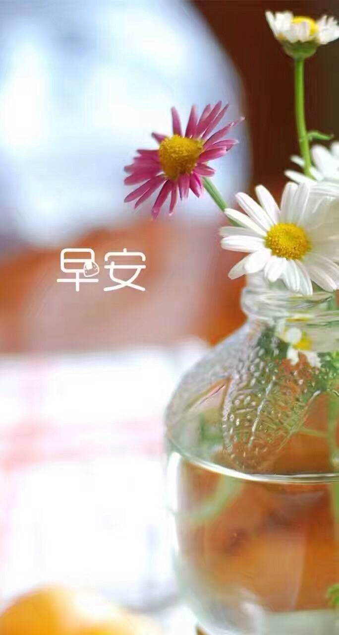 Ȧ簲ΨͼƬ,,һŽƬ,ÿ˶Լķ羰
