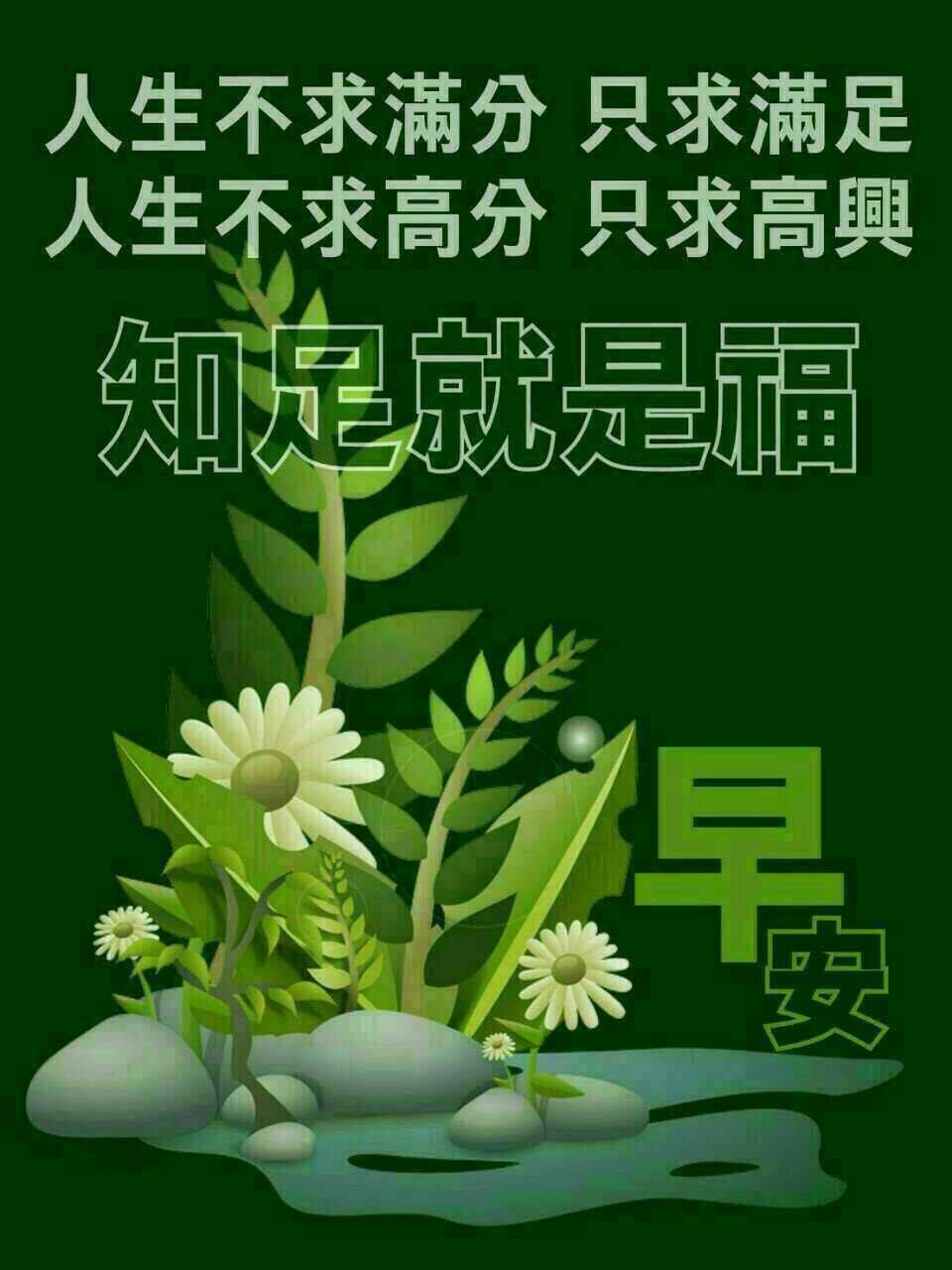 友们早上好!起床锻炼了!