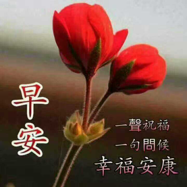 姐妹们早上好!明天就是五一了,祝姐妹们开心快乐!