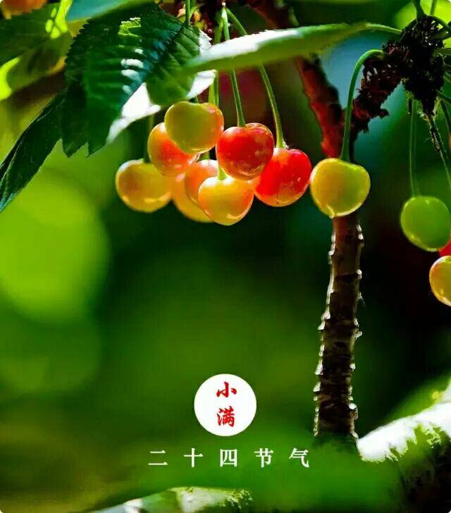 小满时节 话养生