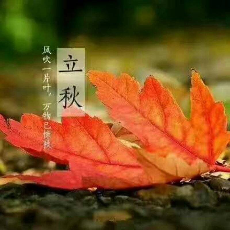 早上好