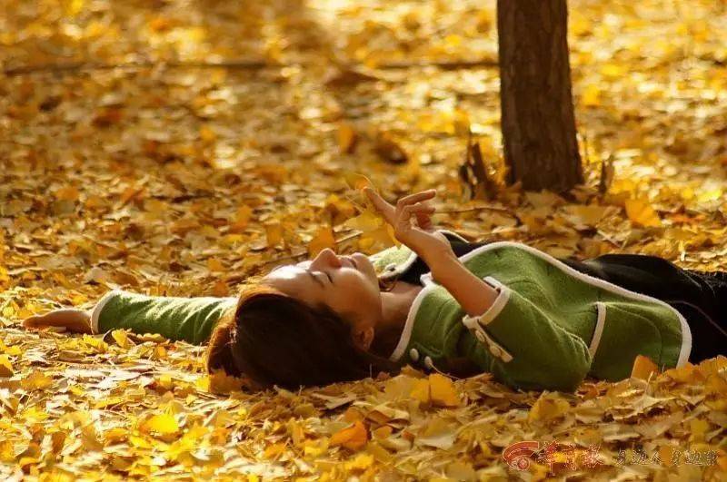 1519624594827383.jpg 微信图片_20180226135606.jpg