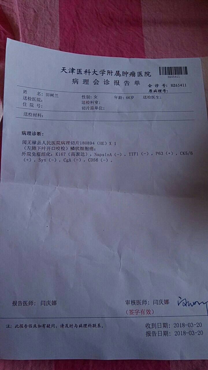 肺癌病理报告单解读