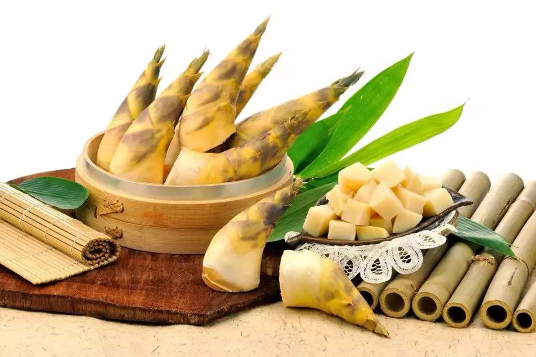 说食话 | 癌症患者可以吃竹笋吗?