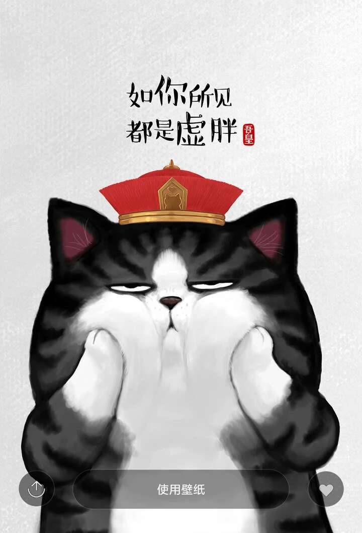 我每天都在笑,谁知道我过得好不好.