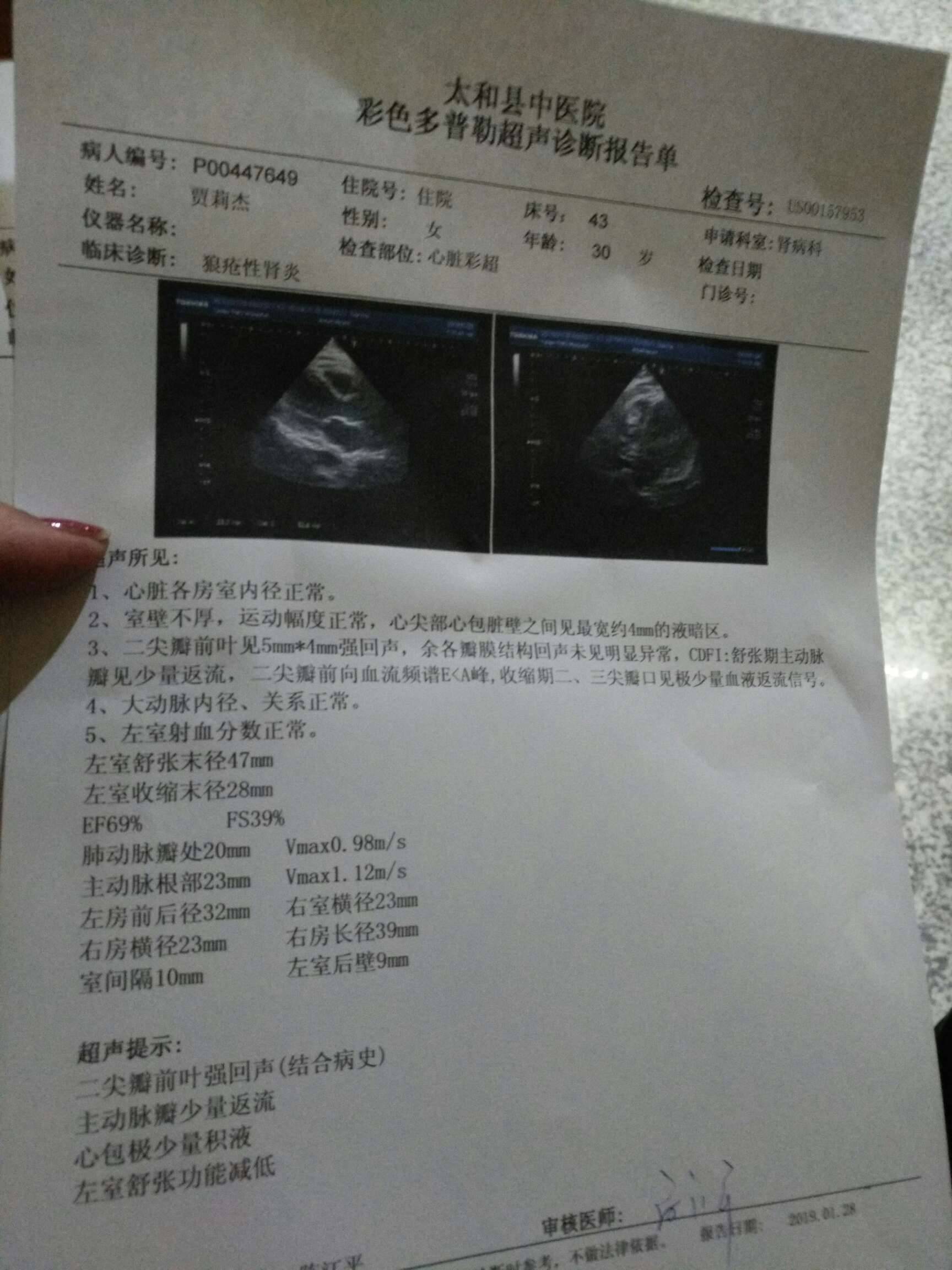 彩超肾和心脏肾好像又长大一点点感染性心膜炎还是那么大那个菌都半年