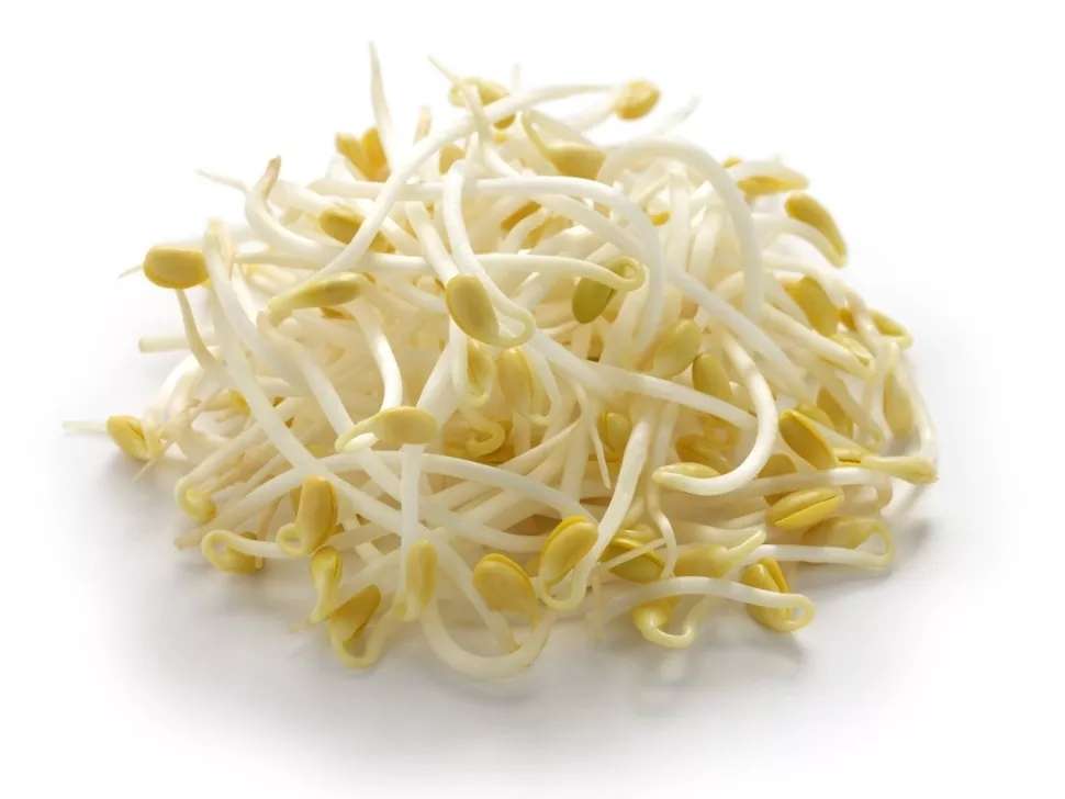 黄豆芽,绿豆芽营养差不止 1 倍!