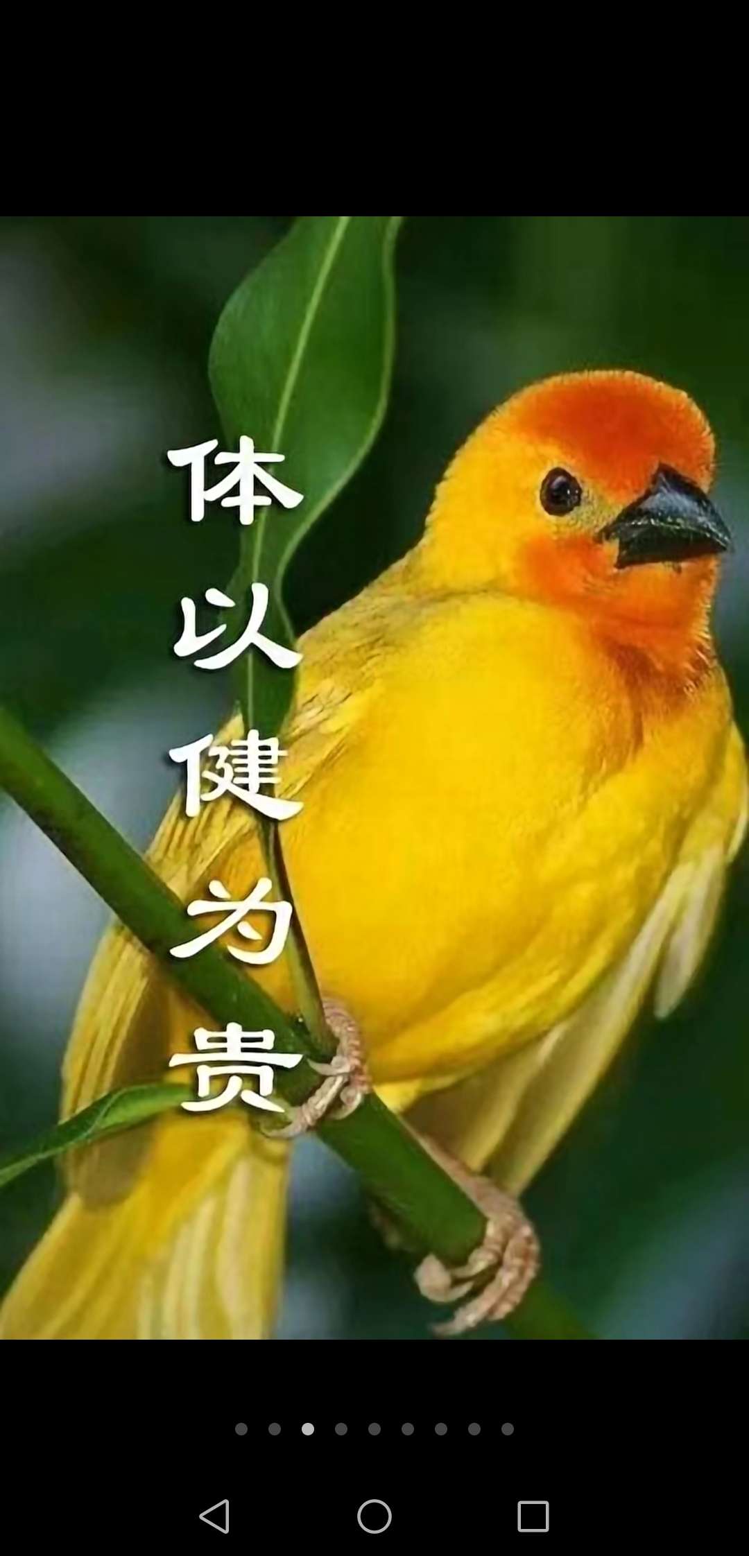 一个贵字含义深