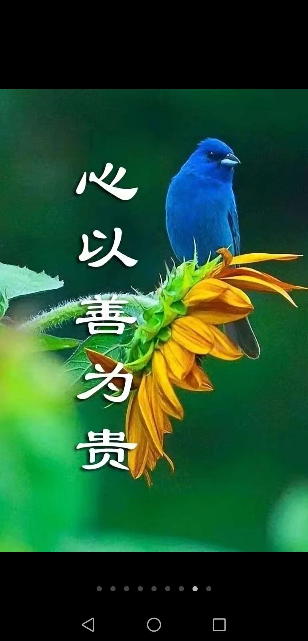 一个贵字含义深