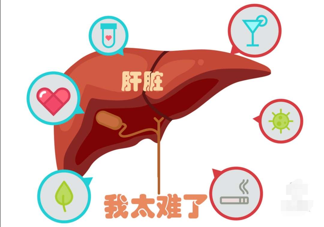 正文最多一般不超过3种,以免增加肝脏负担及因药物间相互作用而引起