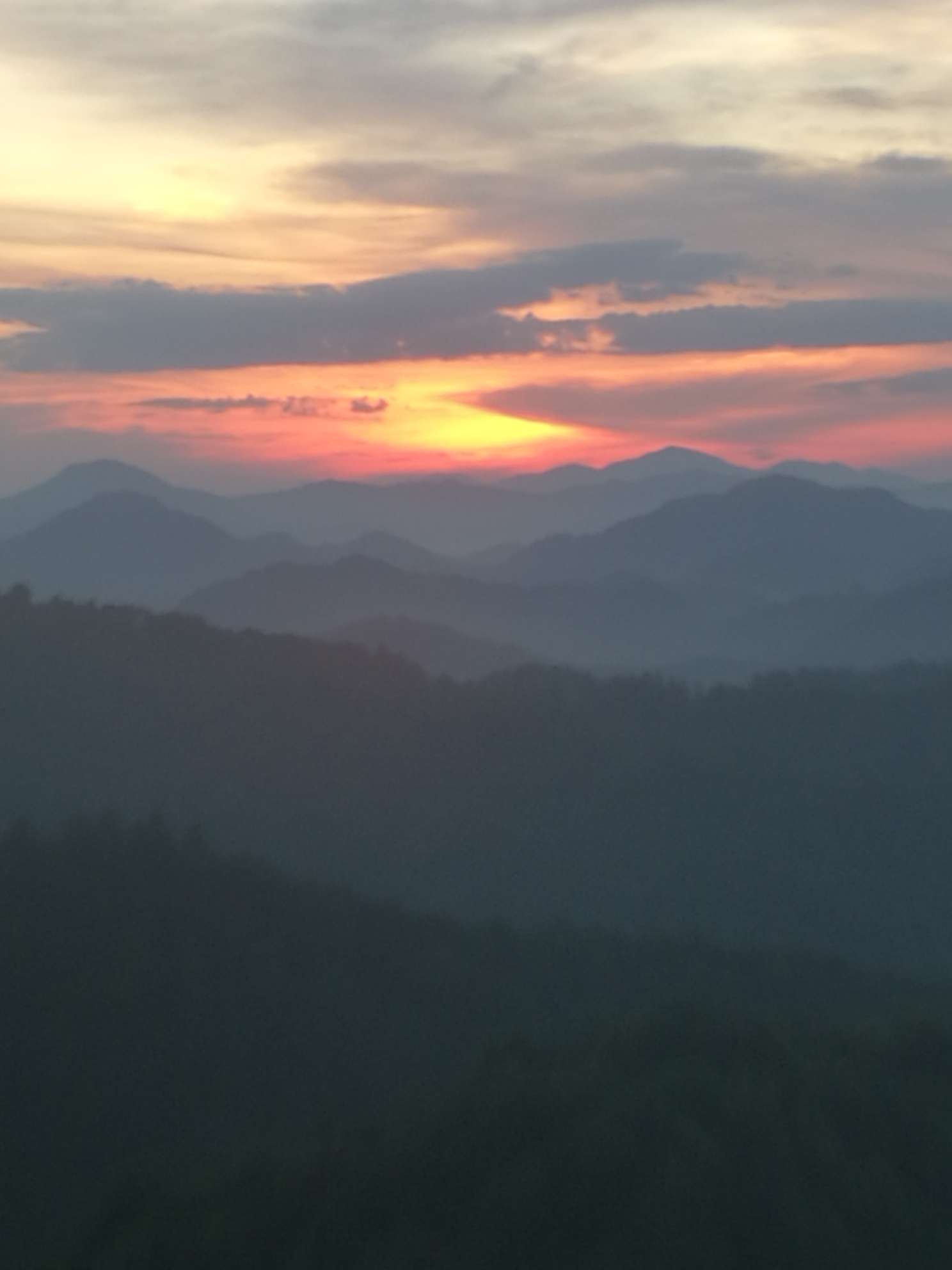 早晨登上山峰看到标准的日出