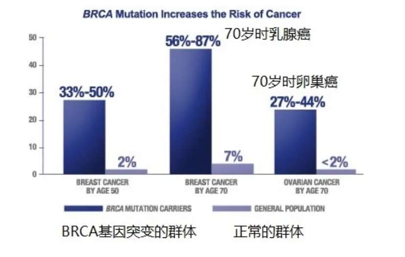 哪些人是乳腺癌高危人群brca基因突变需要怎么预防