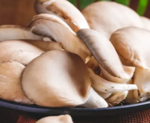 传说中的“发物”,真的会促进肿瘤的复发转移吗?
