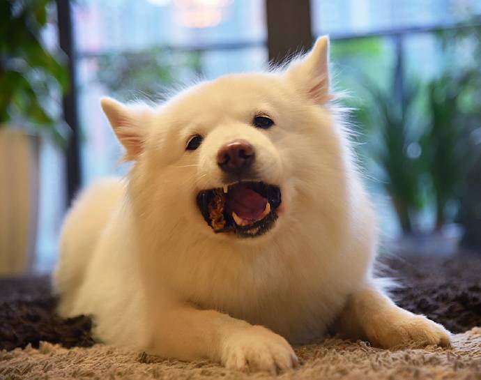 1460604374476106.jpg bfc243a3gw1f2rrmka3i5j20xc0qbhdt.jpg