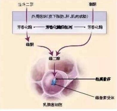 1481794568726337.jpg QQ截图20161215173421.jpg