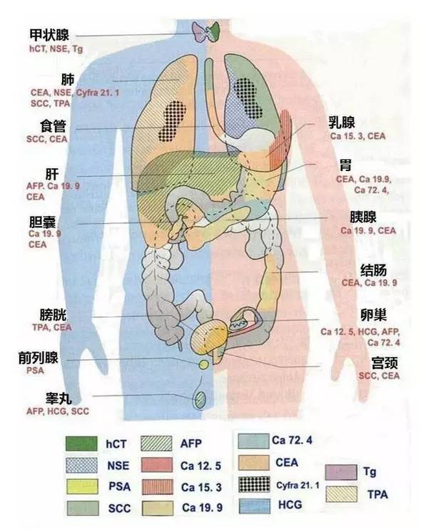 1482974025921138.jpg 115042ry2f4xtbudb7y7z4.jpg