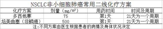 NSCLC二线化疗.jpg