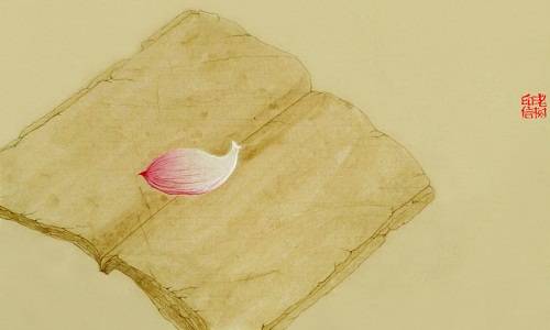 1485846662800951.jpg 2.jpg