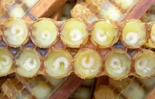 1486659405805347.jpg 3.jpg