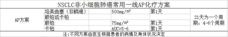 非小细胞肺癌化疗AP方案.jpg