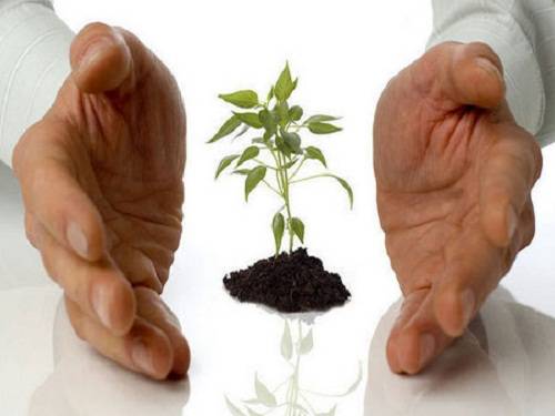 1488360302778920.jpg 1.jpg