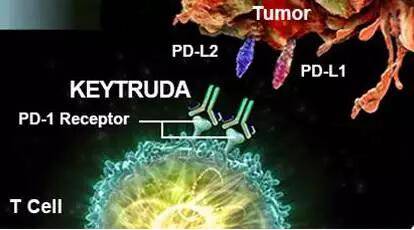 keytruda-2.jpg