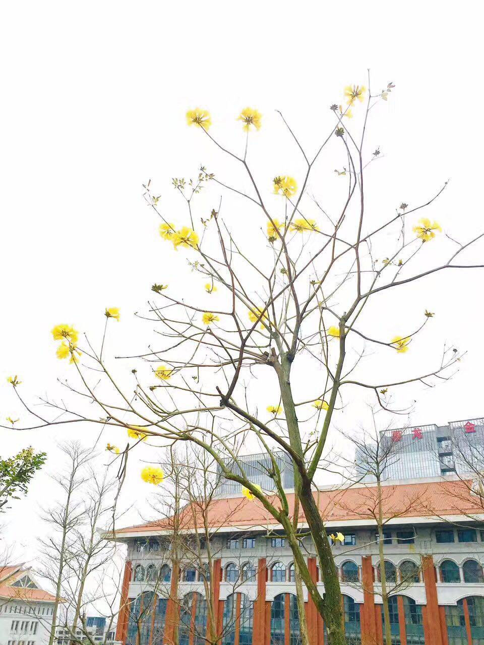 1492657598433914.jpg 0.jpg