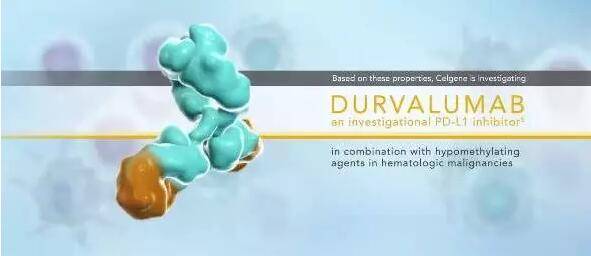 durvalumab.jpg