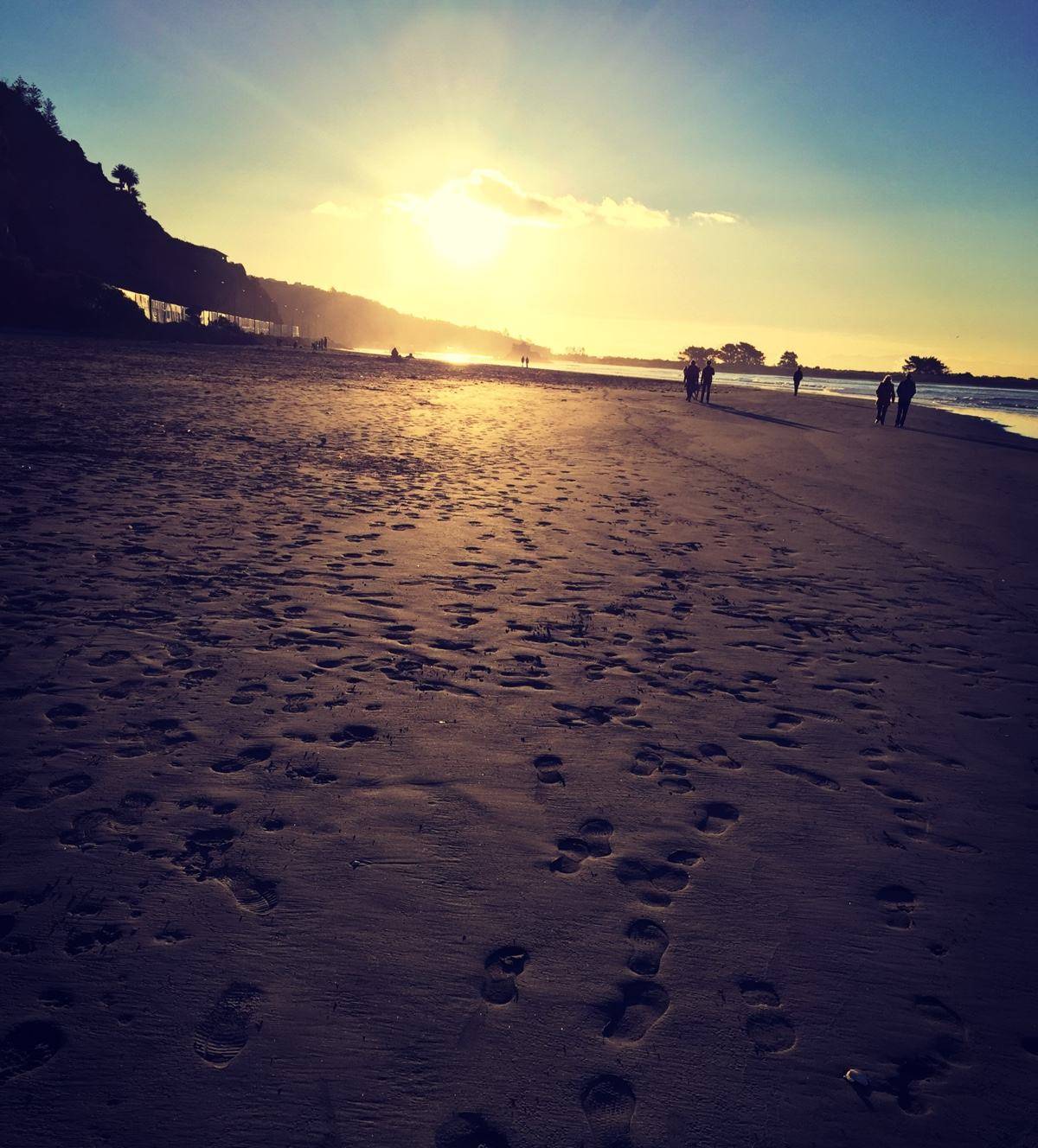 timg 少时诵诗书(2).jpg