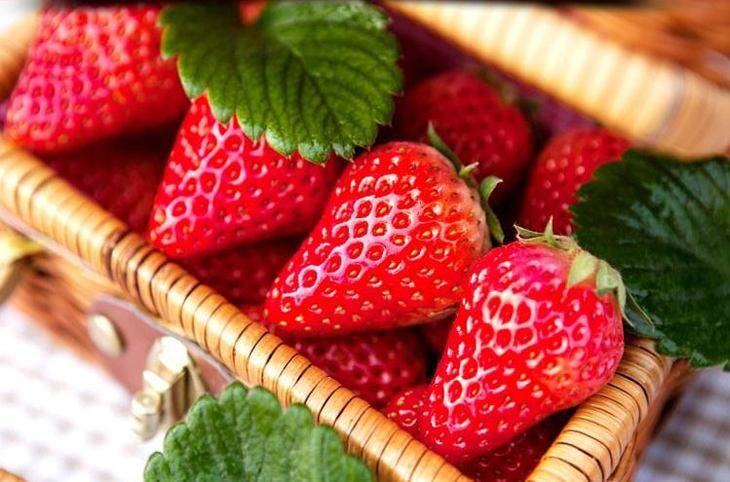 1499918393883951.jpg FtZWkmnSX4RhiXbzWX5SuxiMk7jv.jpg!730x0.jpg