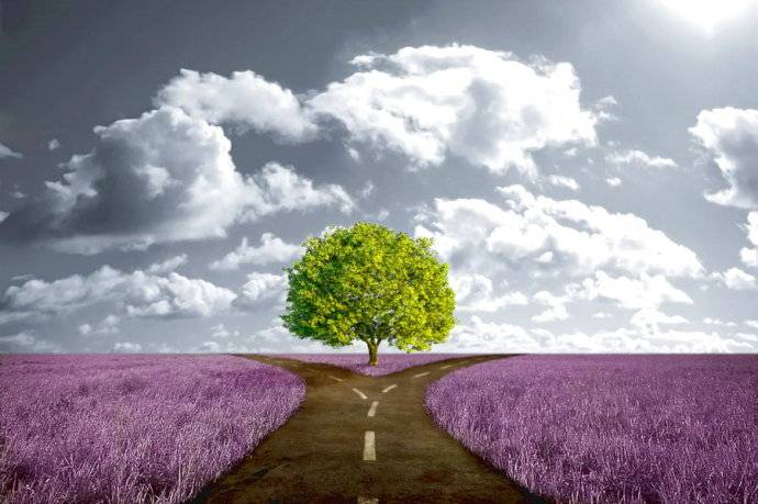 1501379737101030.jpg 001Mli5Tzy6IyTEZhy2ba&690.jpg