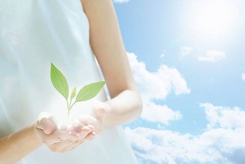 1502668941588368.jpg 4.jpg