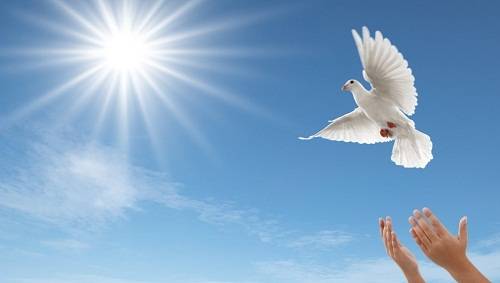 1502668962437513.jpg 6.jpg