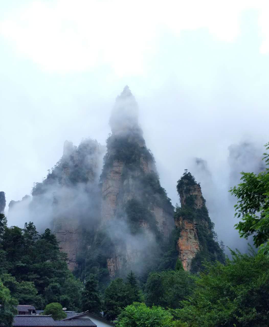 webwxgetmsgimg (2).jpg