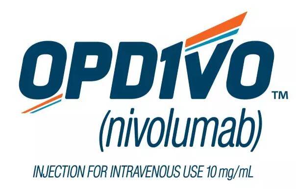 1507620018177360.jpg 纳武单抗.jpg