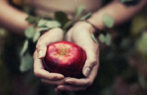 1510465362718969.png 0011.png