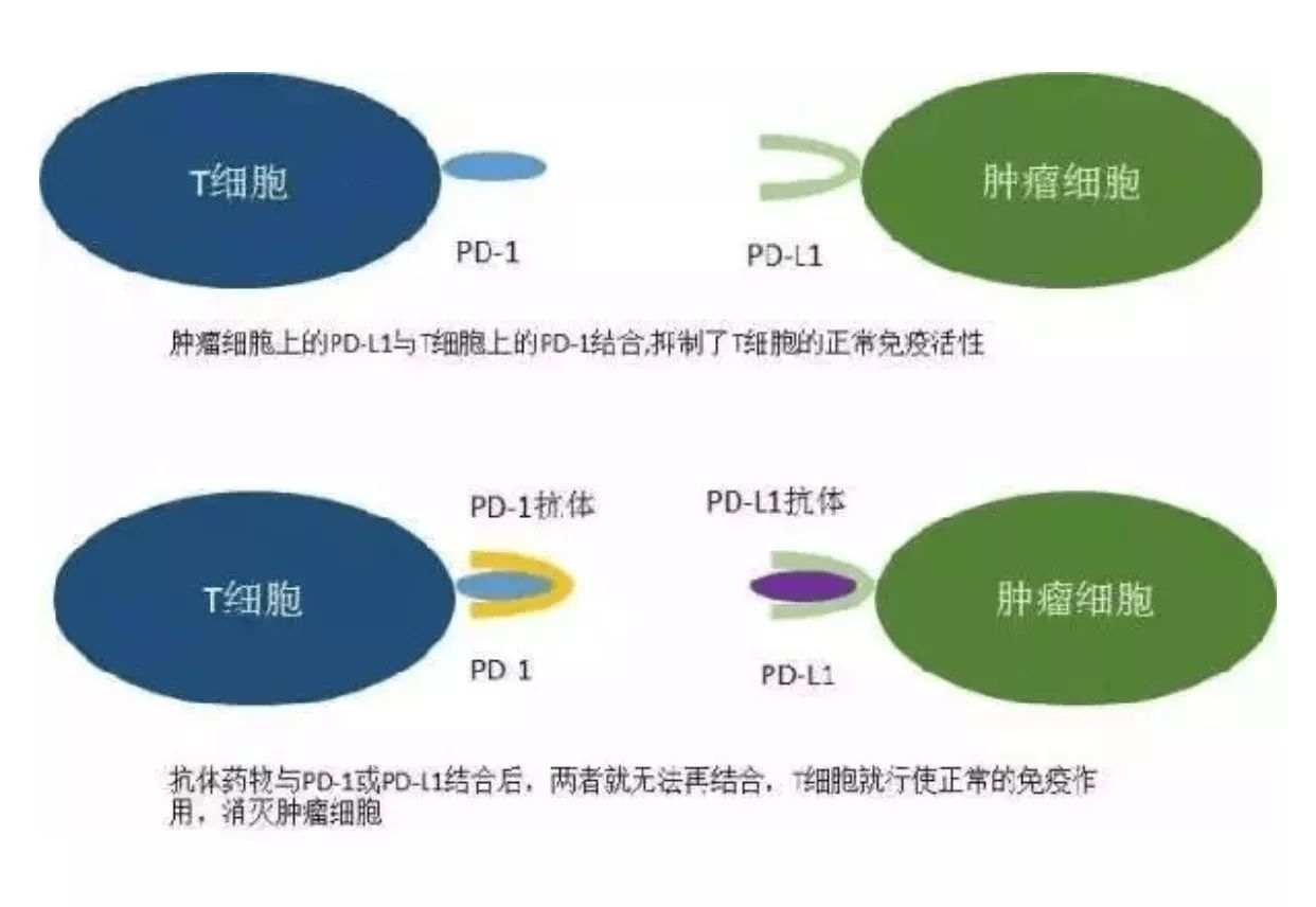 1511747407101134.png blob.png