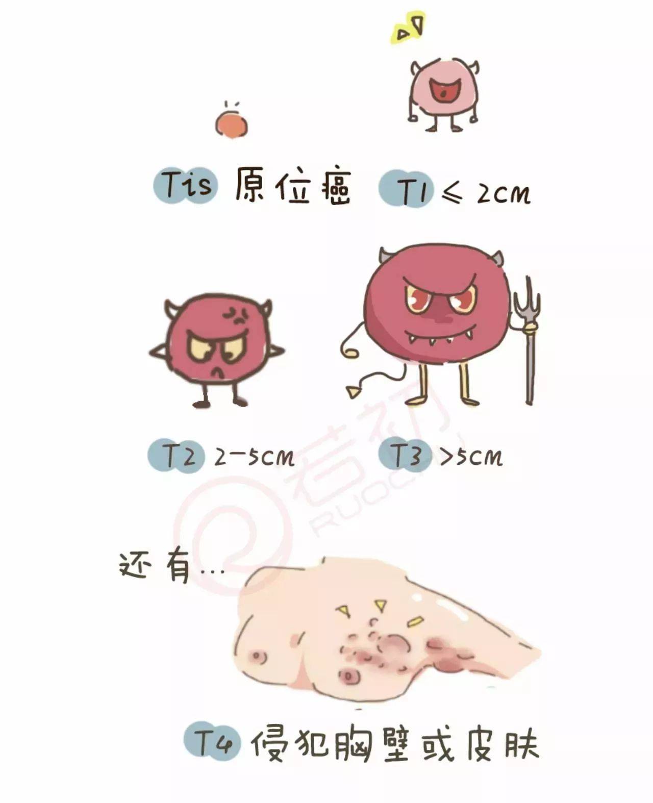 1519610577537343.jpg 微信图片_20180226100240.jpg