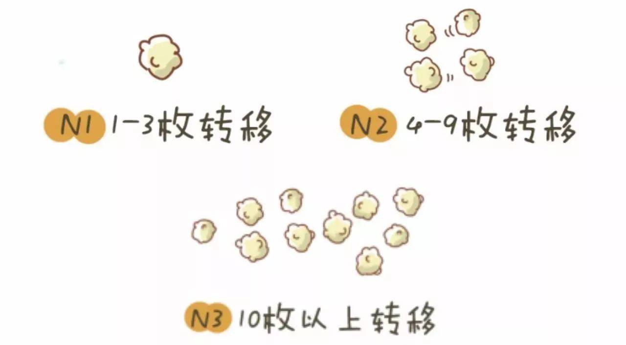 1519610633389426.jpg 微信图片_20180226100309.jpg