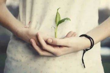 1519616585924821.jpg 微信图片_20180226114222.jpg