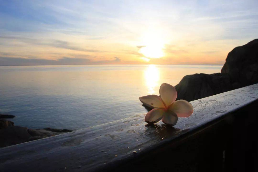 1519789479966772.jpg 微信图片_20180228113558.jpg