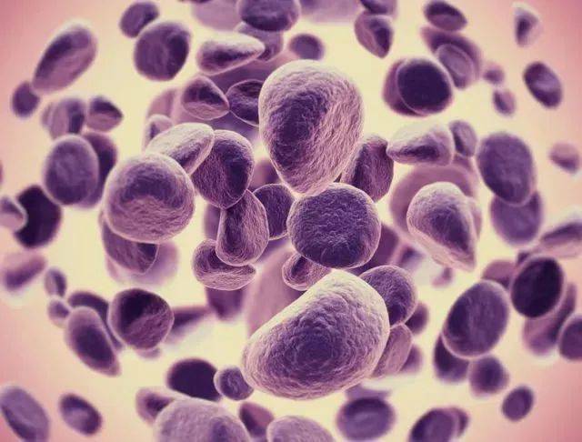 1523151986867145.jpg 微信图片_20180408094539.jpg