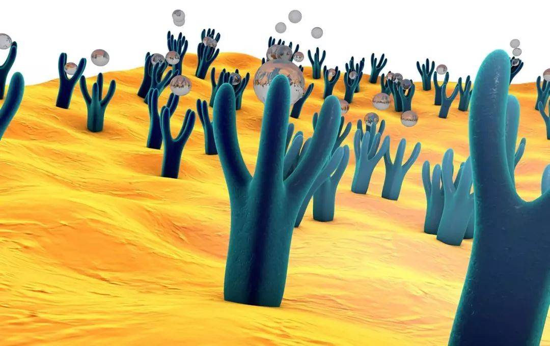 1524103460929601.jpg 微信图片_20180419100335.jpg