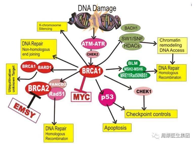 1524202496794482.jpg 微信图片_20180420114540.jpg