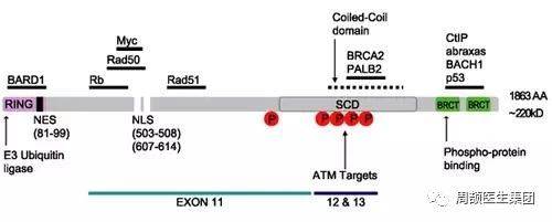 1524202508255001.jpg 微信图片_20180420114543.jpg