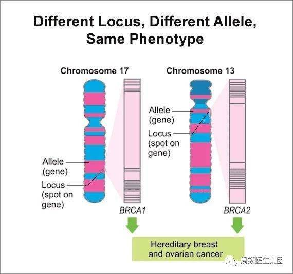 1524202531460382.jpg 微信图片_20180420114544.jpg