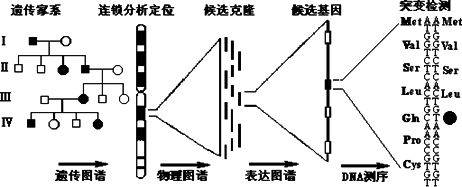 1524202563415969.jpg 微信图片_20180420114550.jpg