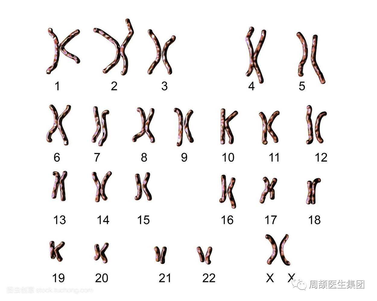 1524202572818003.jpg 微信图片_20180420114552.jpg